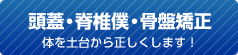 頭蓋・脊椎僕・骨盤矯正