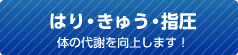 頭蓋・脊椎僕・骨盤矯正